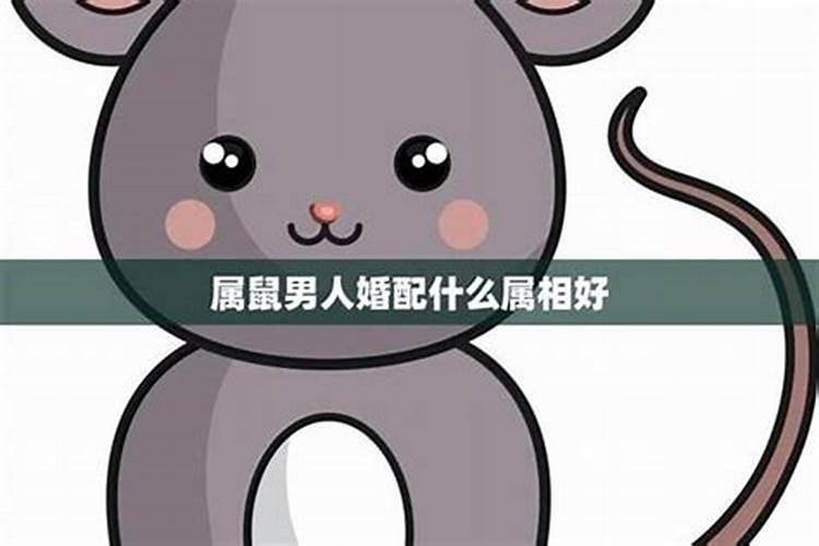 生肖不和的婚姻如何化解