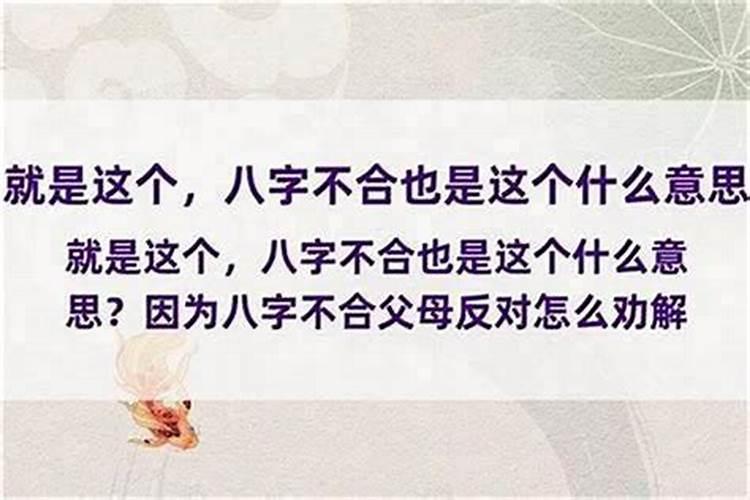 2025年腊月的蛇宝宝命运如何