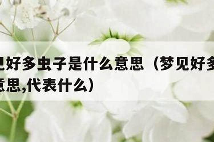 梦见虫子钻进腿的预兆
