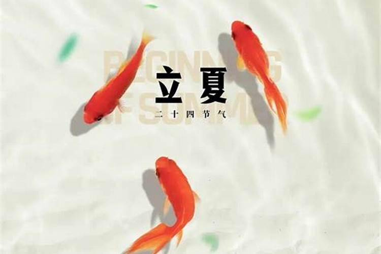 1981属鸡男人2025全年运势