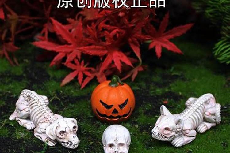 为什么冬至开始进补