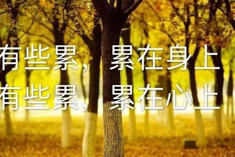梦见水的周公解梦
