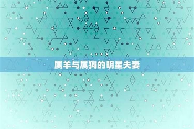 94年属狗女婚姻不顺