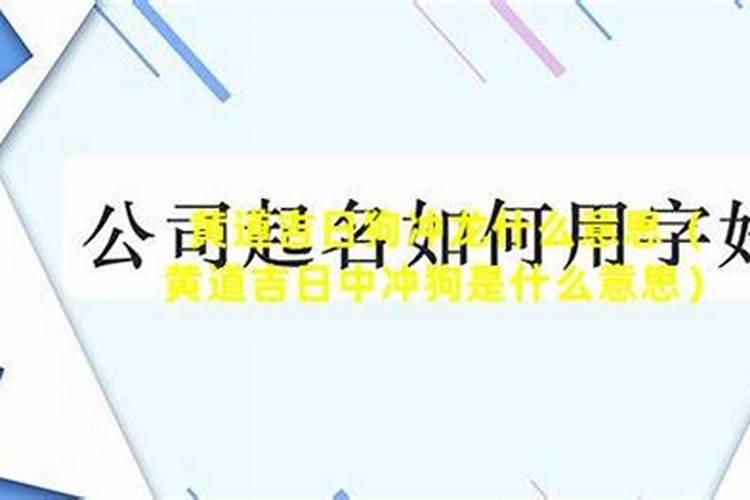 狗和龙相冲吗？属狗的在龙年需要注意什么吗
