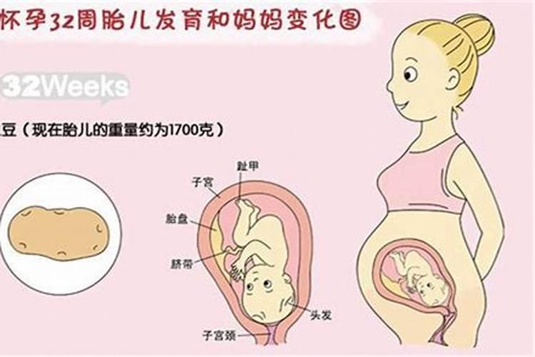 梦见腹中胎儿是个可爱的女孩的预兆