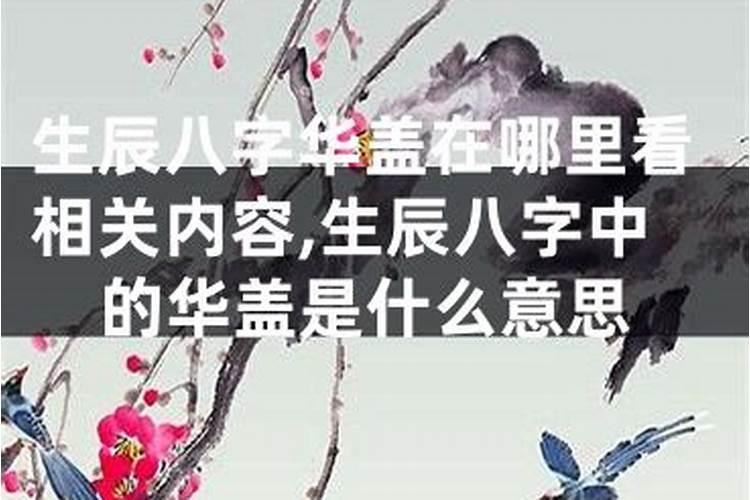 梦见好多小动物来自己家的预兆