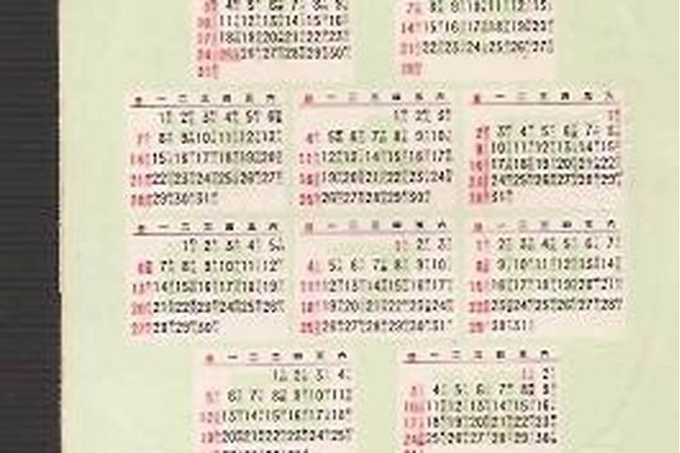 1982年春节是几月几号