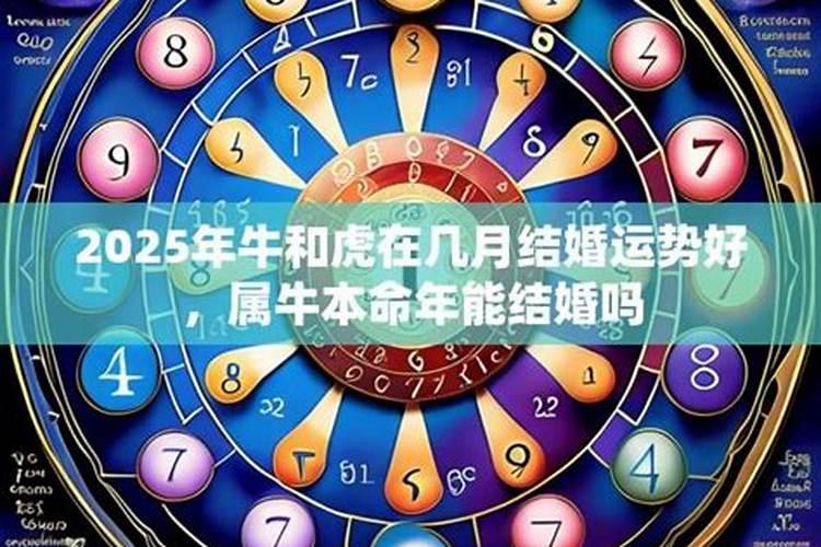 梦见仇人眼睛盯着我的预兆
