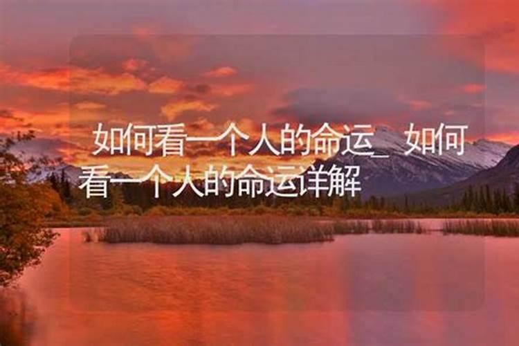 属龙男2025年全年运势