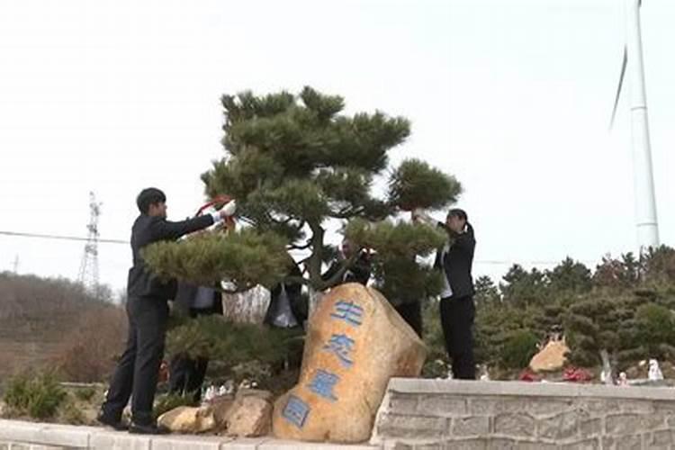 山东清明节有什么忌讳