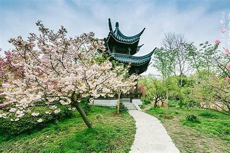 南京小年吃什么