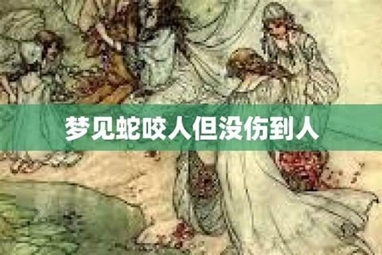 新年家里布置什么好