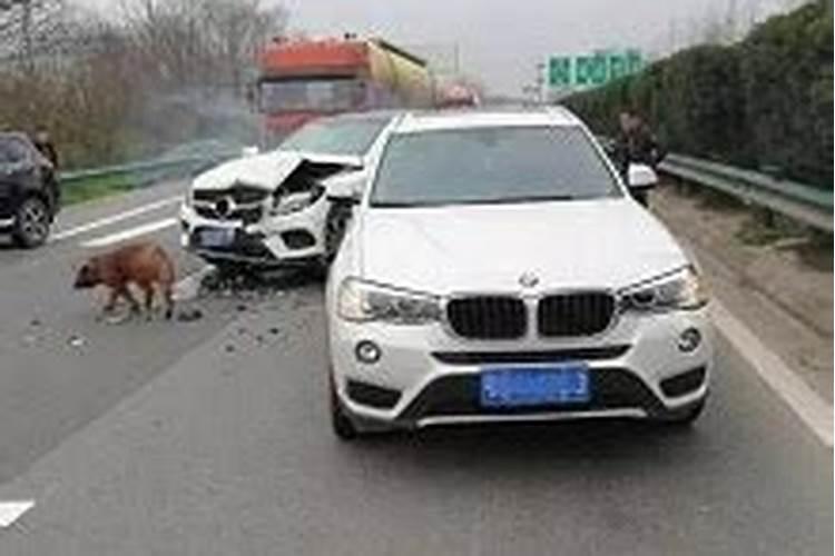 梦见爱人出车祸死了什么意思？