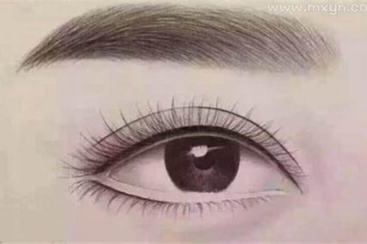 梦见眉毛掉了什么预兆