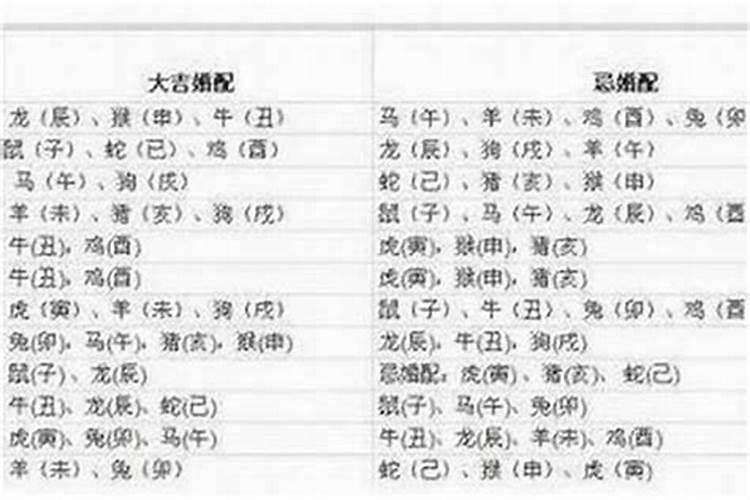 1982年男最佳婚配,1982年男属狗的人婚配70年属狗好吗