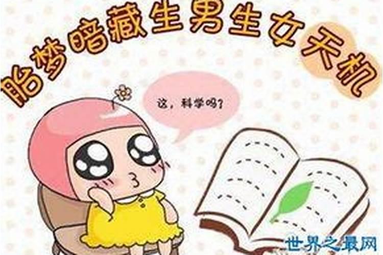 梦见很多老鼠到处乱跑是什么意思
