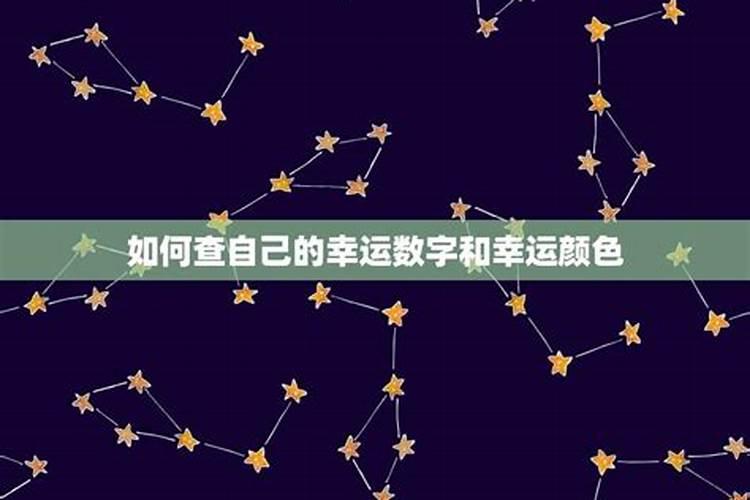 个人幸运数字怎么查询？