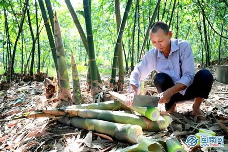 家里亲人去世百日了,还能做回向吗,怎么做