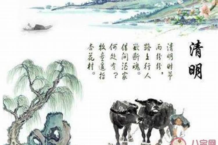 新墓清明节扫墓时间有什么讲究