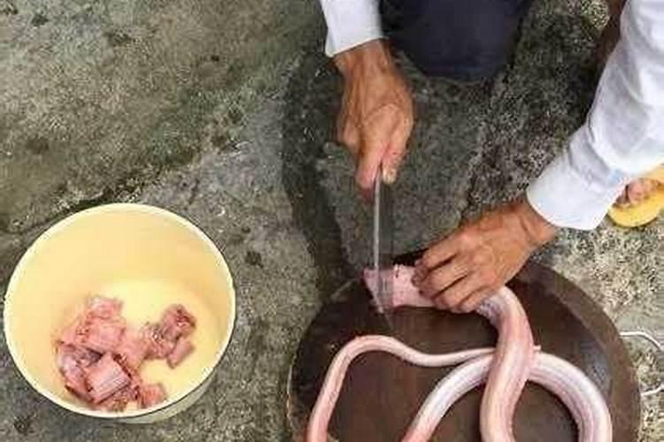 梦见吃蛇肉是什么意思