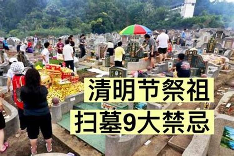 清明上坟扫墓有什么讲究？清明扫墓9大禁忌