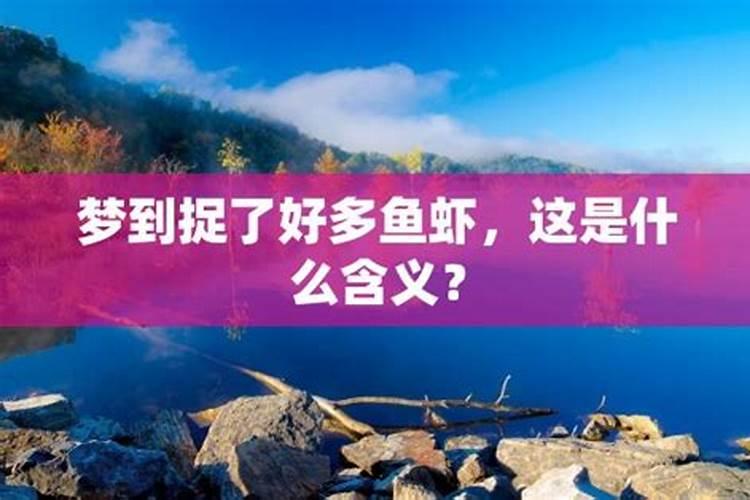 梦见水里抓鱼和虾的预兆
