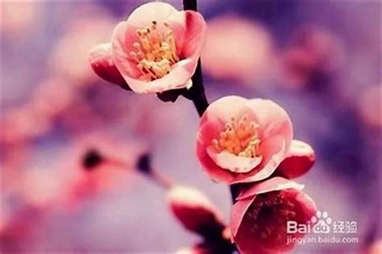 怎么样才能找到贵人相助,赚钱呢···哭···
