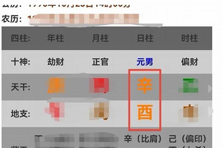 梦见自己和别人一起吃饺子的预兆