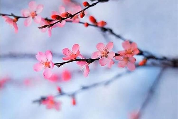 梦见前妻和孩子是什么意思