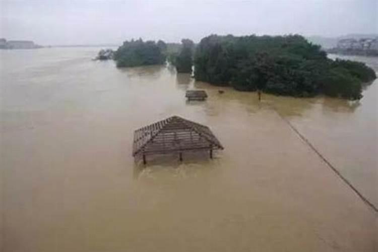 梦到下雨发洪水预示着什么