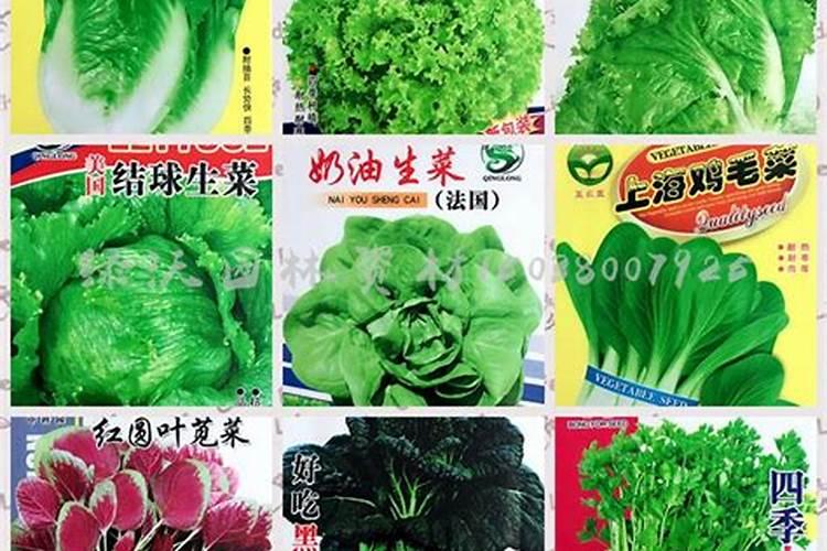 端午节的由来与传说