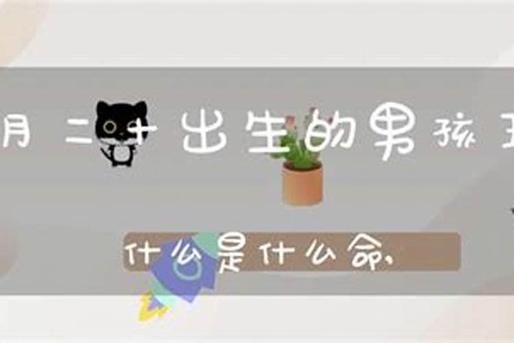 农历1978年12月20日,女性,一生运程如何？