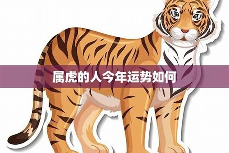 属虎人2025全年运势详解 属虎人2025年每月运势