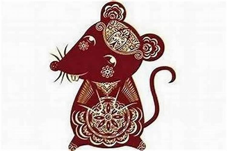 属鼠什么东西最旺偏财