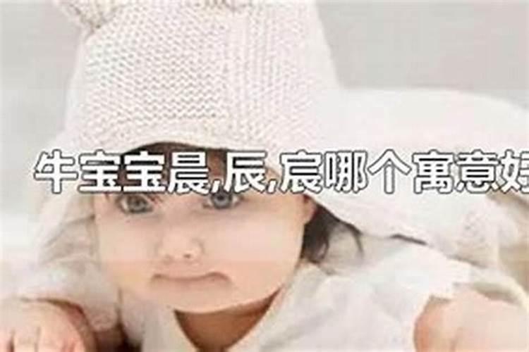 1988年腊月十一亥时出生什么命