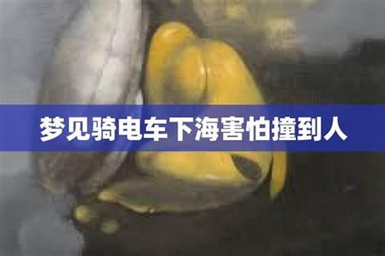梦见骑电动车是什么意思