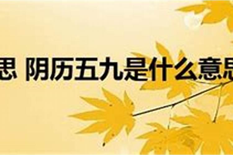 梦米p6多少钱