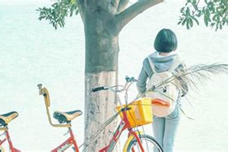 梦见骑自己的摩托车过绿灯路的预兆