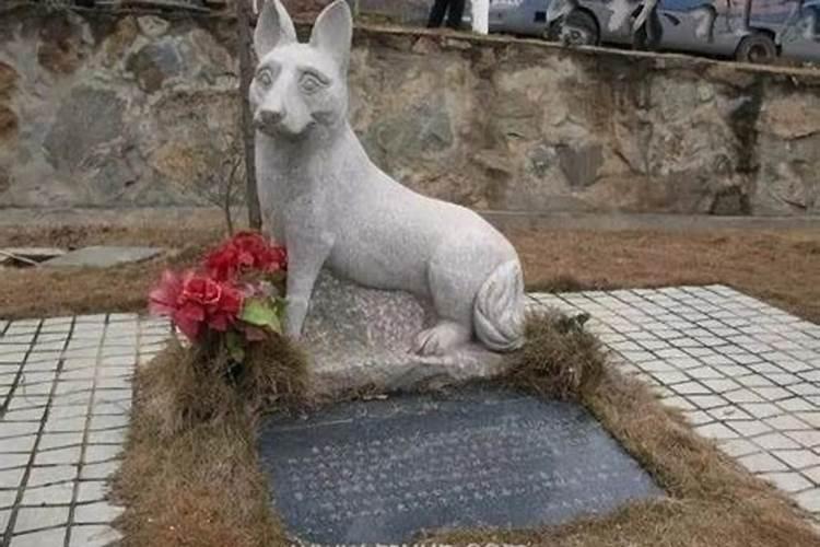 梦见哥哥死了又活了的预兆