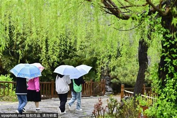 六八年属猴的男性二月二十六出生的今年的运气怎么