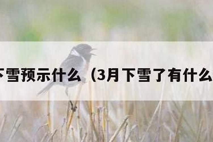 八字拉力器使用方法
