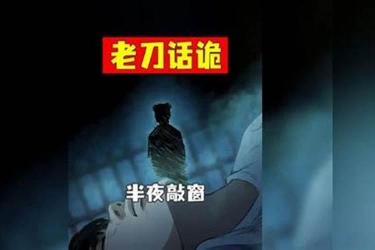 家里进兔子预示什么