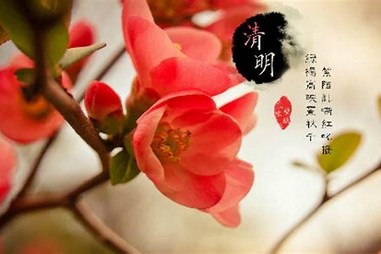 女人梦见鱼咬是吉兆发财