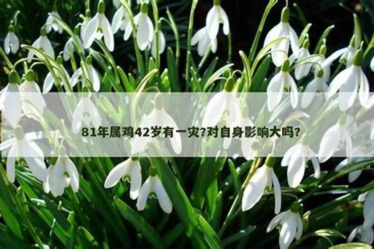 拿死去的人的生辰八字算命的话能算出什么吗？