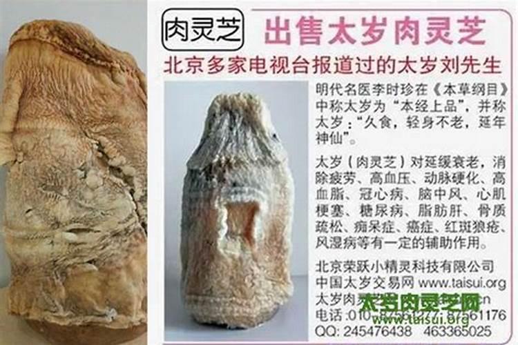 武汉那里可以买到真正的生肖太岁牌我属虎？