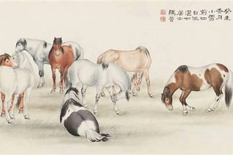 郭逸奎.男.广东潮阳人.农历1981年11月26日申时出生..测事业、爱情、财运...