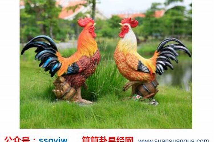 今年62岁属什么