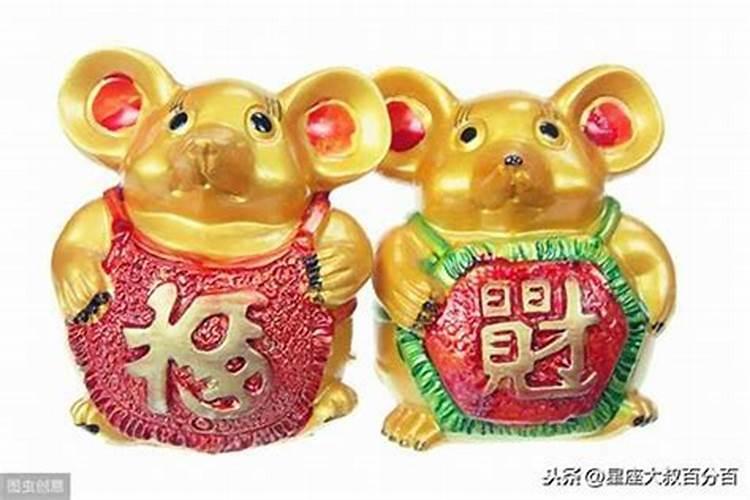 属鼠人一生的命运怎么样？
