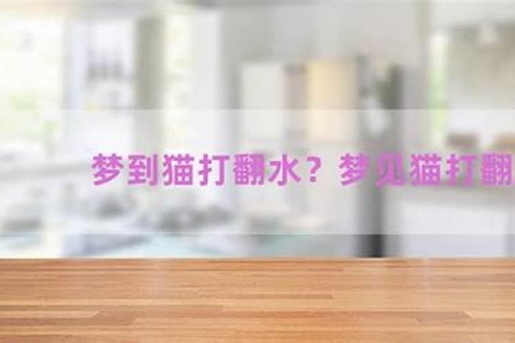 梦见大猫吃小猫是什么意思？