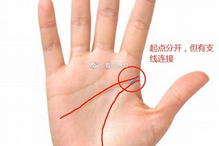 哪位明白手相的大师请帮忙解惑一下啊？为什么这两条线不相交？？